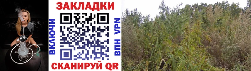 A PVP Реутов