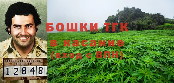 стафф Бородино