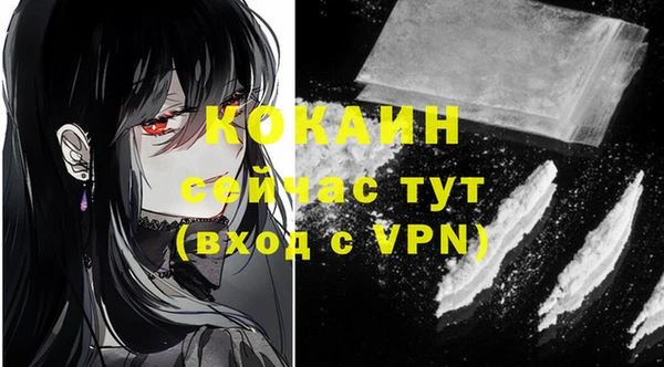 стафф Бородино