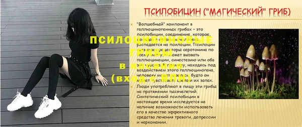 стафф Бородино